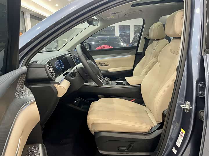 BYD Song Pro Hybrid 2025 2025款 第二代 DM-i 115KM超越型