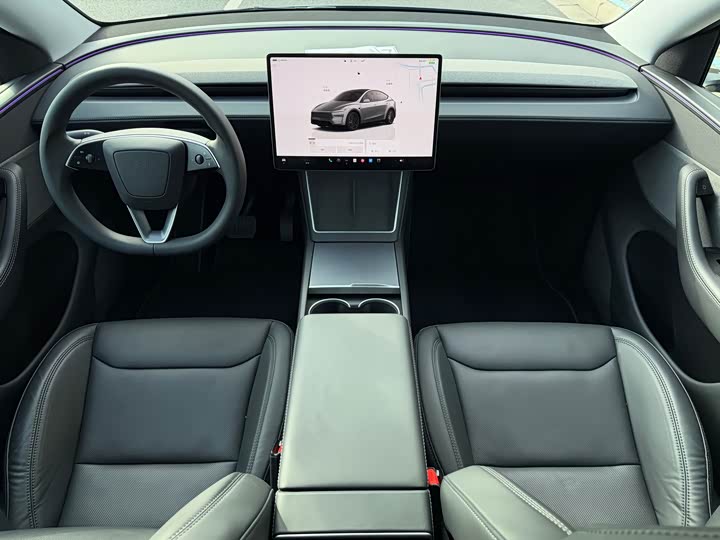 Tesla Model Y 2025 2025款 后轮驱动版