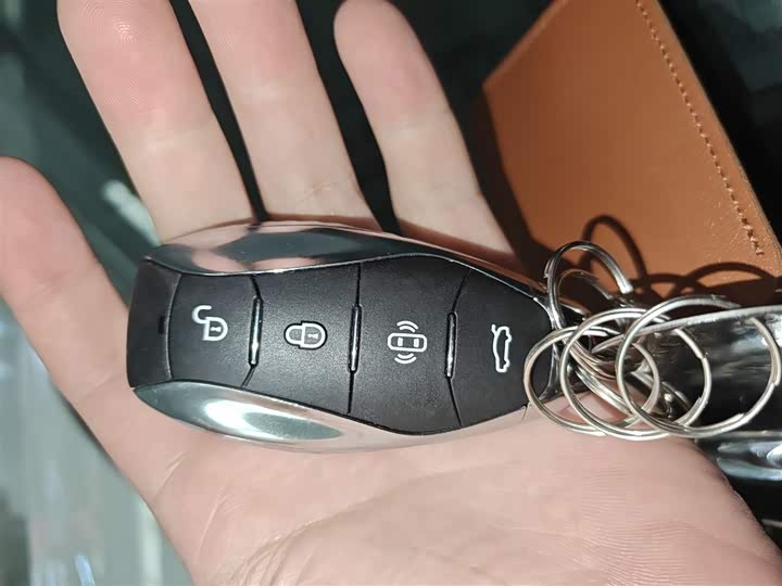 Hongqi E-HS9 2024 2024款 660km 旗畅版 六座