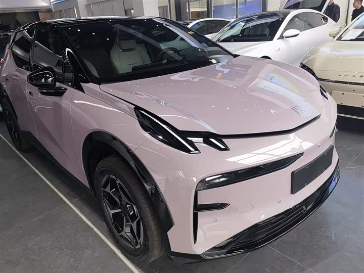 Zeekr X 2025 2025款 五座后驱版