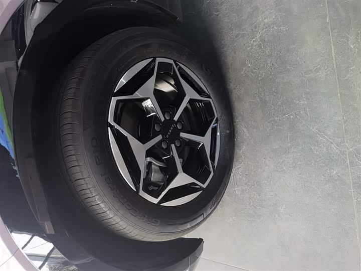 Zeekr X 2025 2025款 五座后驱版