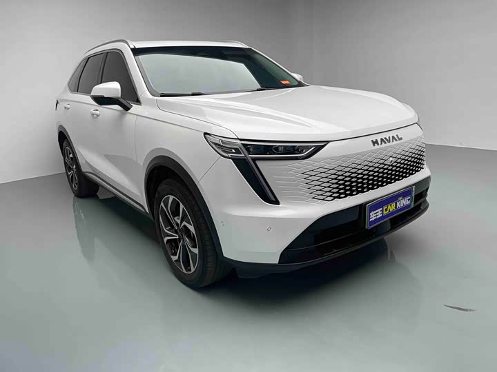 Haval Ruge Max 2023 2023款 1.5L Hi4 105 四驱智能旗舰版