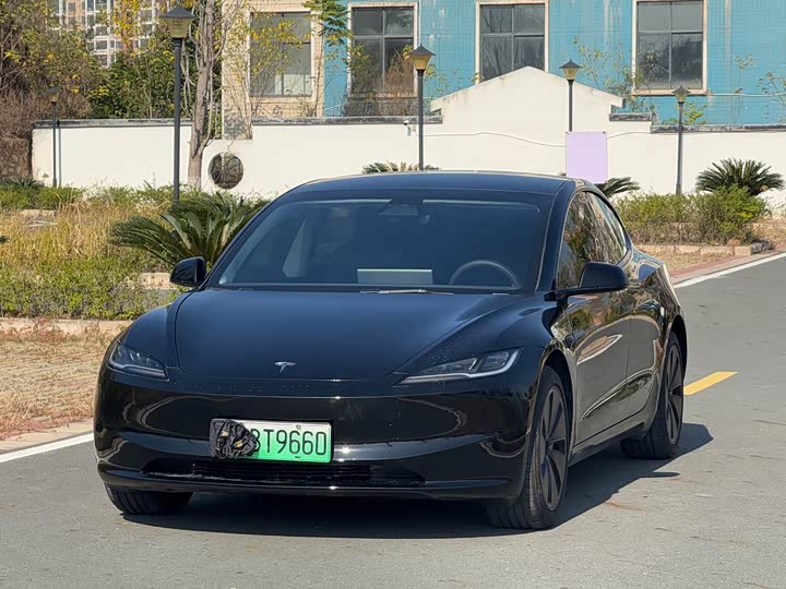 Tesla Model 3 2025 2025款 后轮驱动版