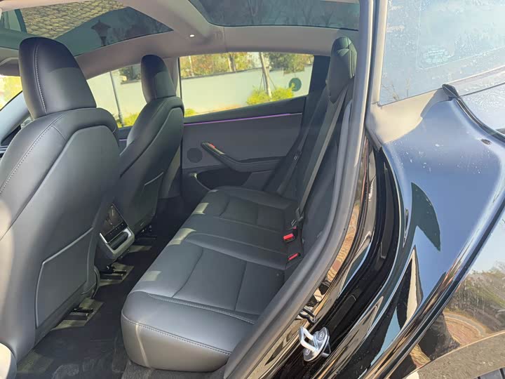 Tesla Model 3 2025 2025款 后轮驱动版