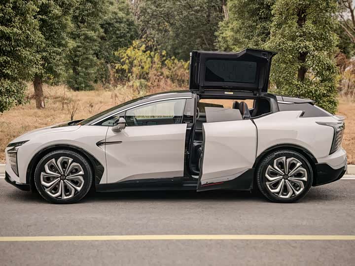 HiPhi X 2021 2021款 旗舰版6座