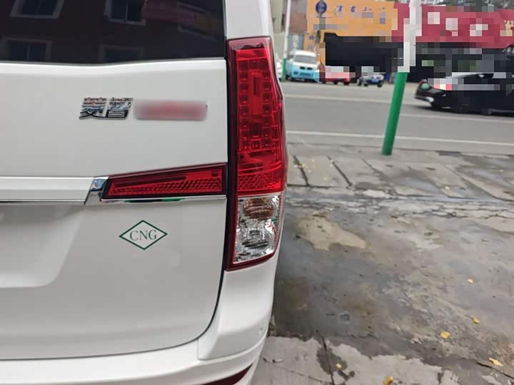 Dongfeng Forthing Lingzhi Plus 2023 2023款 2.0L 手动豪华型CNG 7座