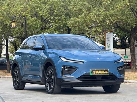 Hozon X 2024 2024款 500 先行版