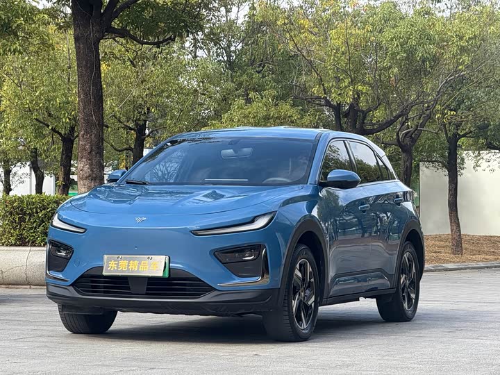 Hozon X 2024 2024款 500 先行版