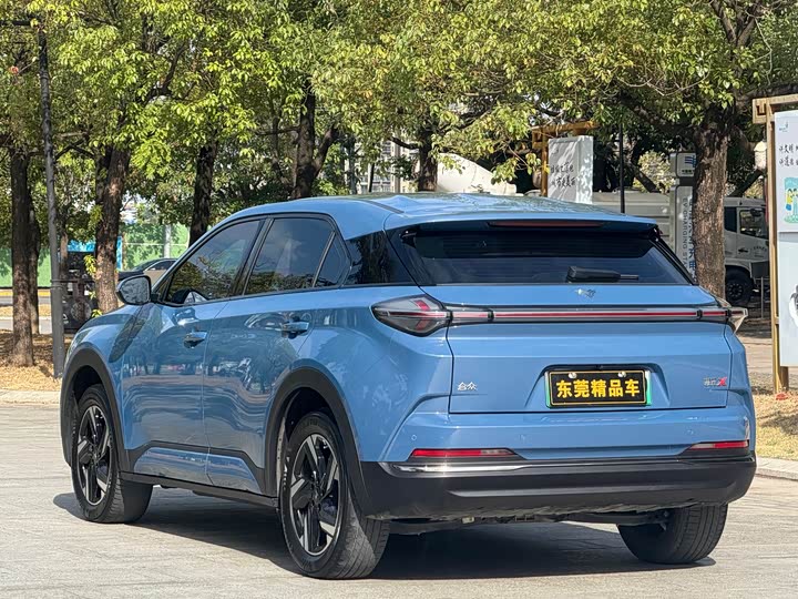 Hozon X 2024 2024款 500 先行版