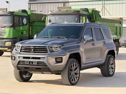 Tank 700 Hybrid 2024 2024款 Hi4-T 极境版