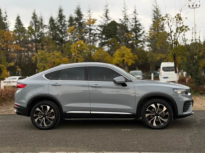 Geely Tugella S 2021 2021款 2.0TD DCT两驱闪电版