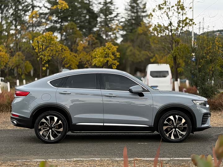 Geely Tugella S 2021 2021款 2.0TD DCT两驱闪电版