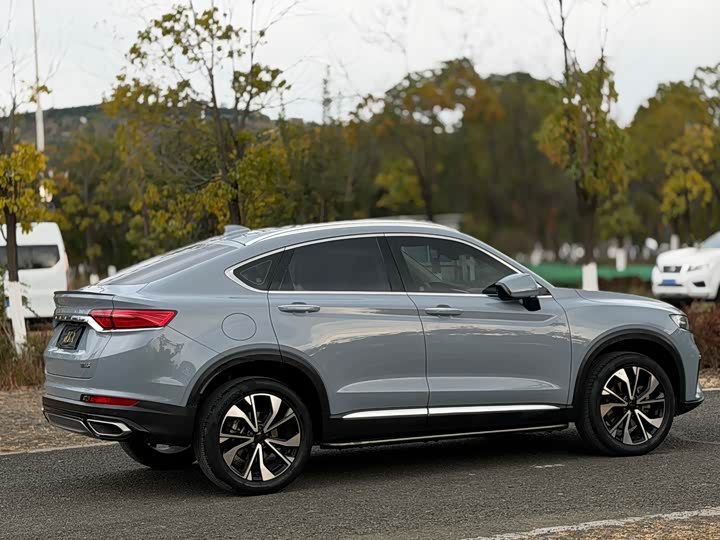 Geely Tugella S 2021 2021款 2.0TD DCT两驱闪电版