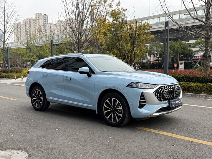 Wey Mocha 2021 2021款 2.0T 两驱特醇版