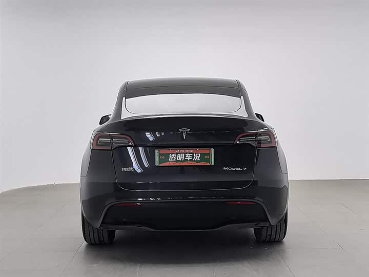 Tesla Model Y 2024 2024款 后轮驱动版