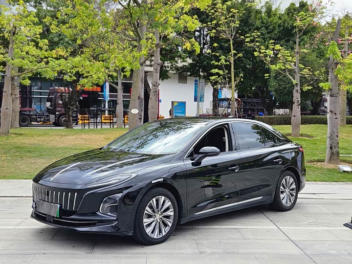 Hongqi E-QM5 2024 2024款 500km 出行版