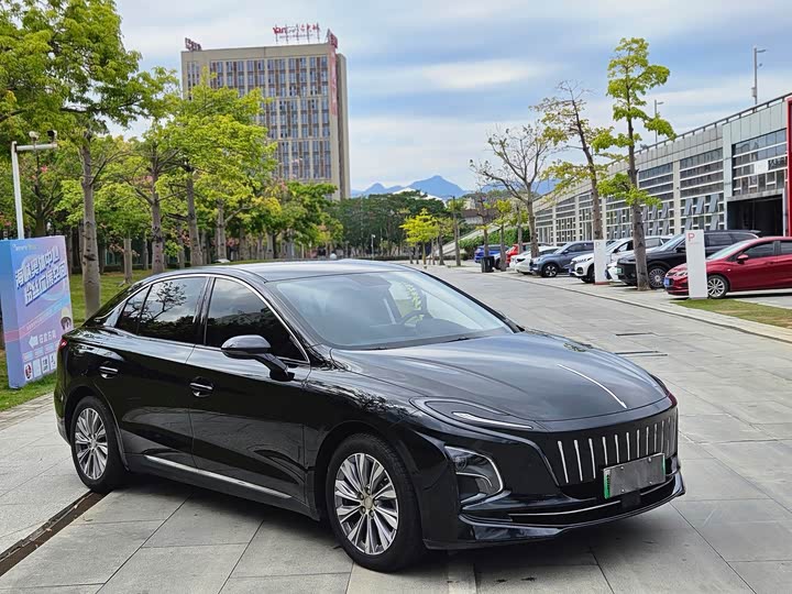 Hongqi E-QM5 2024 2024款 500km 出行版