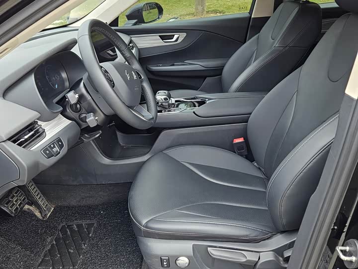 Hongqi E-QM5 2024 2024款 500km 出行版