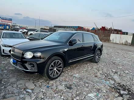 Bentley Bentayga 2023 2023款 4.0T V8 长轴距雅度版