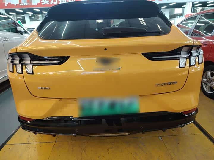 Ford Mustang Mach-E 2024 2024款 GT