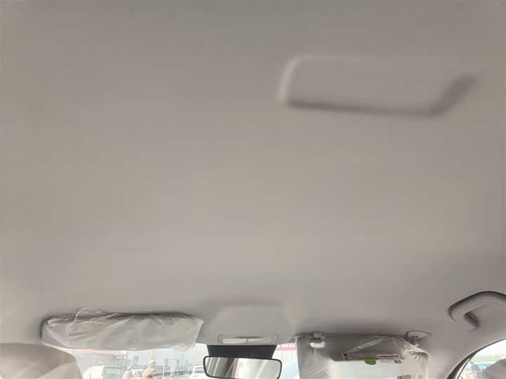 Geely Galaxy Geome 2026 2026款 410km 自由版