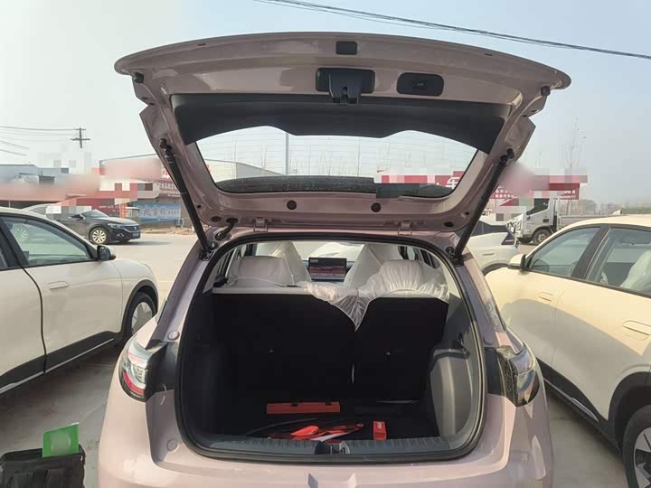 Geely Galaxy Geome 2026 2026款 410km 自由版