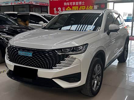 Haval H6 Hybrid 2023 2023款 DHT-PHEV 55KM 悦行版