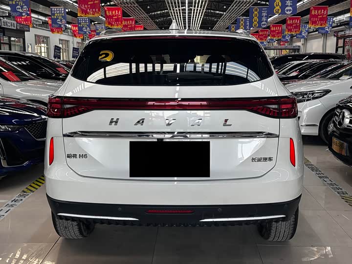 Haval H6 Hybrid 2023 2023款 DHT-PHEV 55KM 悦行版