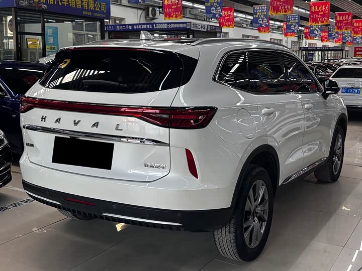 Haval H6 Hybrid 2023 2023款 DHT-PHEV 55KM 悦行版