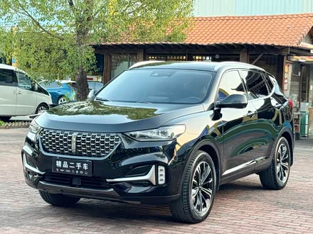 Wey VV6 2021 2021款 2.0T 四驱智驭+