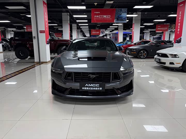 Ford Mustang 2024 2024款 5.0L V8 Dark Horse