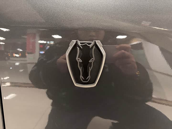 Ford Mustang 2024 2024款 5.0L V8 Dark Horse