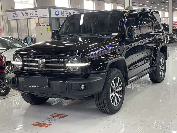 Tank 300 2024 2024款 2.0T 穿越者