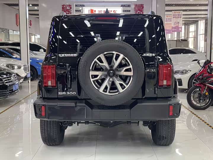 Tank 300 2024 2024款 2.0T 穿越者