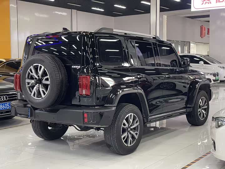 Tank 300 2024 2024款 2.0T 穿越者