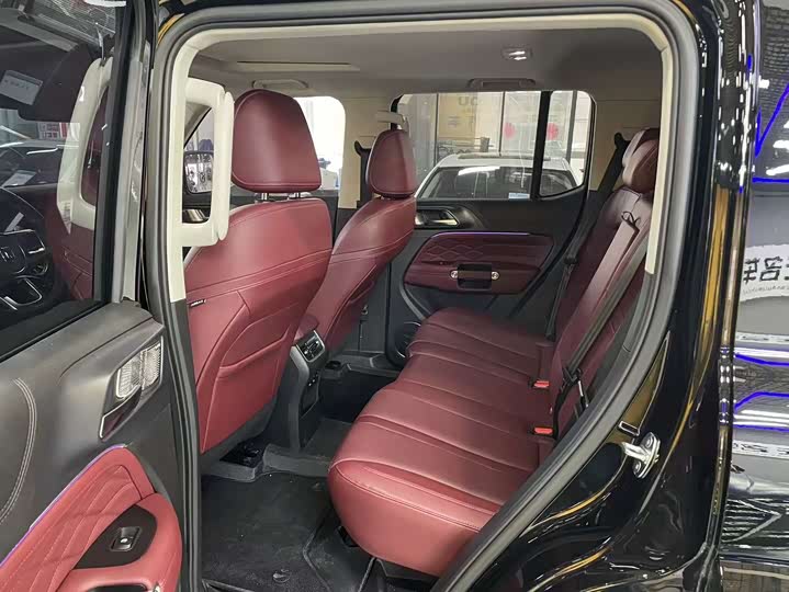 Tank 300 2024 2024款 2.0T 穿越者