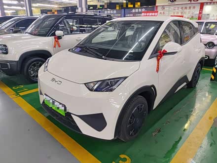 BYD Seagull 2025 2025款 305km 活力版