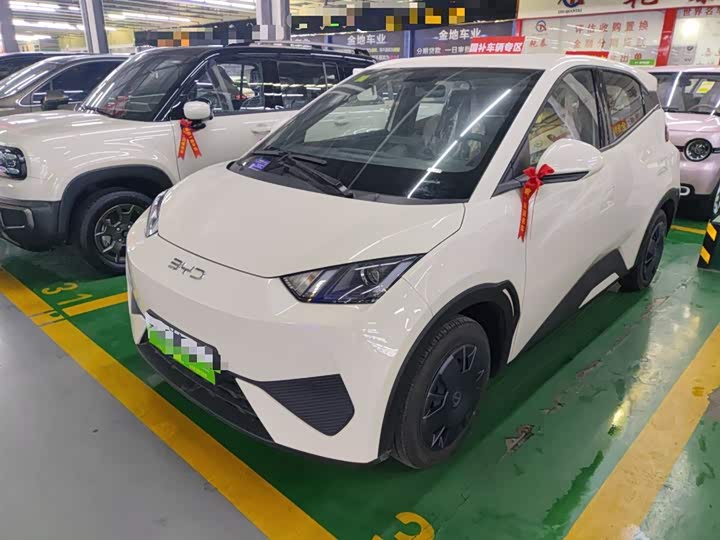 BYD Seagull 2025 2025款 305km 活力版