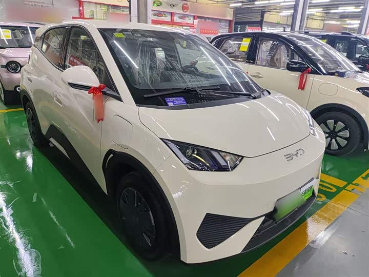 BYD Seagull 2025 2025款 305km 活力版