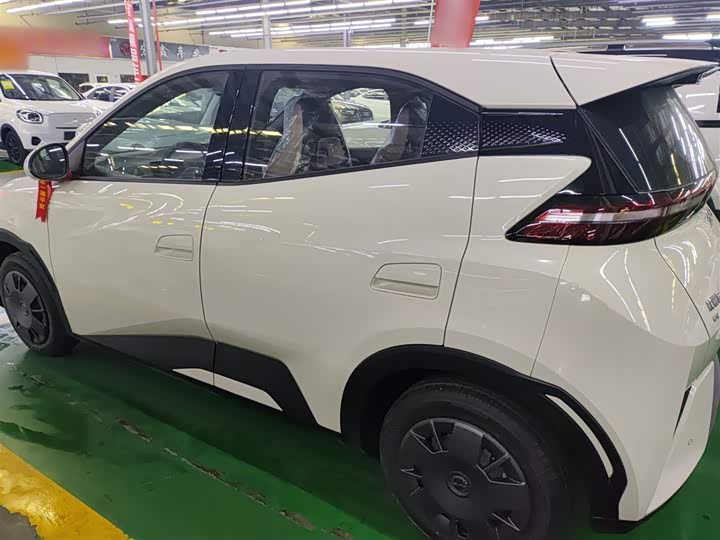 BYD Seagull 2025 2025款 305km 活力版