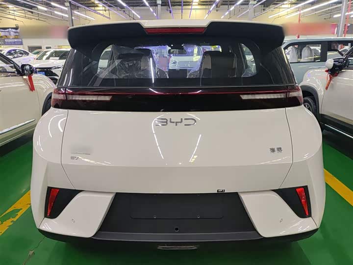 BYD Seagull 2025 2025款 305km 活力版