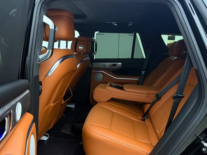 Tank 700 Hybrid 2024 2024款 Hi4-T 极境版