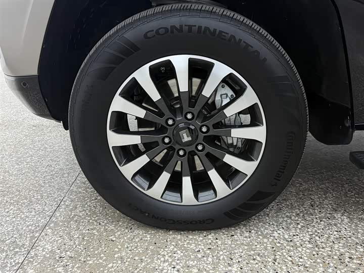 Tank 700 Hybrid 2024 2024款 Hi4-T 极境版