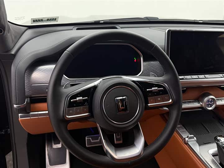 Tank 700 Hybrid 2024 2024款 Hi4-T 极境版