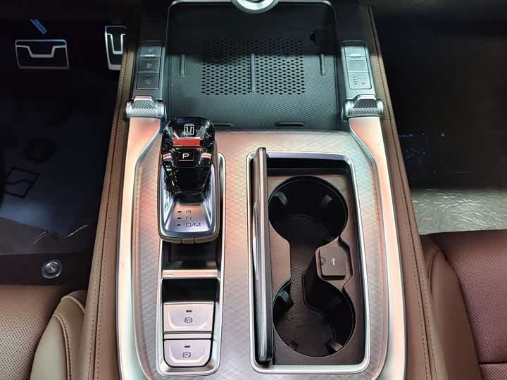 Tank 700 Hybrid 2024 2024款 Hi4-T 极境版