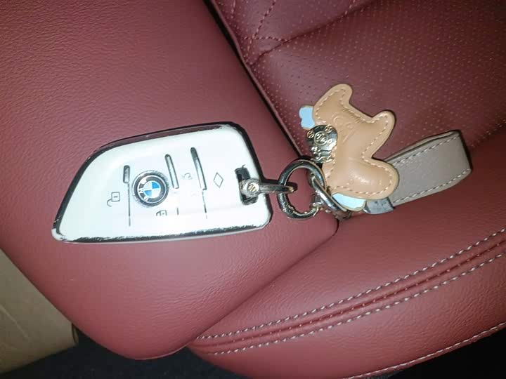 BMW 3 Series 2025 2025款 325Li M运动套装