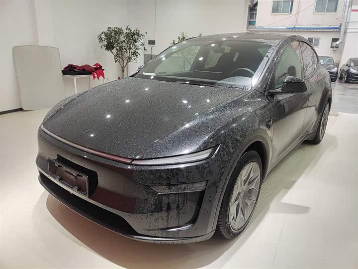 Tesla Model Y 2025 2025款 长续航全轮驱动版