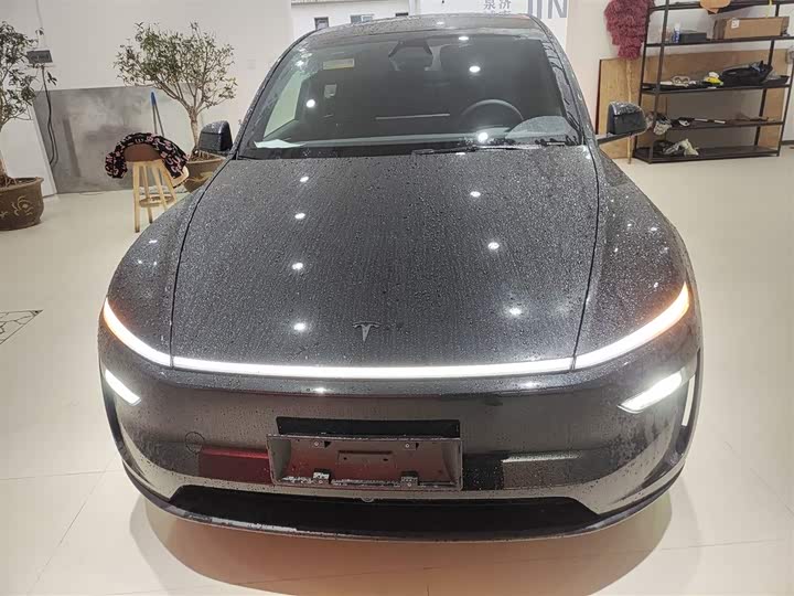 Tesla Model Y 2025 2025款 长续航全轮驱动版