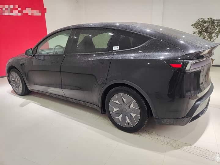 Tesla Model Y 2025 2025款 长续航全轮驱动版