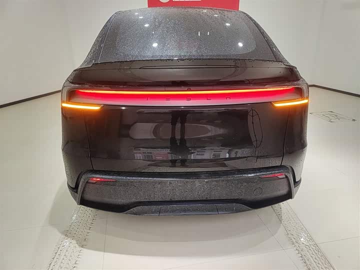 Tesla Model Y 2025 2025款 长续航全轮驱动版